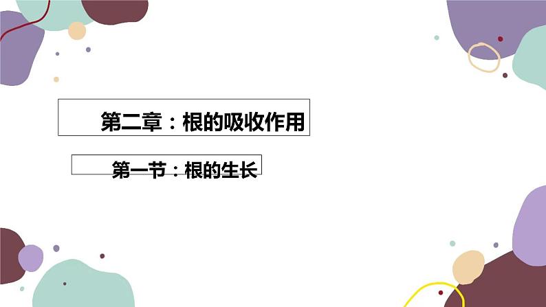 冀少版生物八年级上册 3.2.1 根的生长课件01