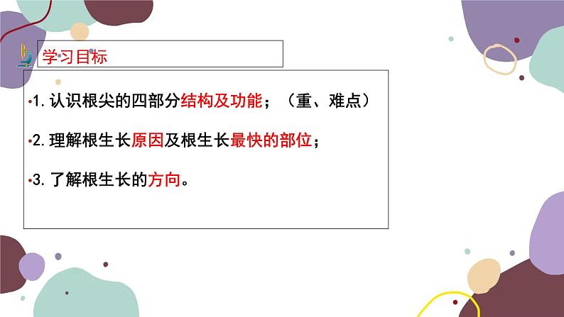 冀少版生物八年级上册 3.2.1 根的生长课件03