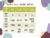 冀少版生物八年级上册 3.2.1 根的生长课件