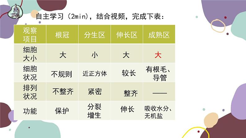 冀少版生物八年级上册 3.2.1 根的生长课件05