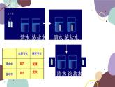 冀少版生物八年级上册 3.2.2 根对水分的吸收课件