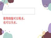 冀少版生物八年级上册 3.2.2 根对水分的吸收课件