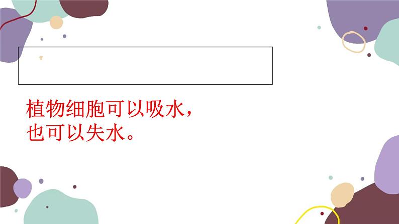 冀少版生物八年级上册 3.2.2 根对水分的吸收课件04