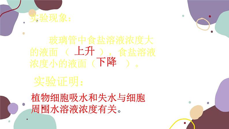 冀少版生物八年级上册 3.2.2 根对水分的吸收课件07