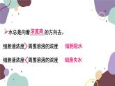 冀少版生物八年级上册 3.2.3 无机盐与植物的生长课件
