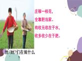 冀少版生物八年级上册 3.2.3 无机盐与植物的生长课件