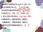 冀少版生物八年级上册 3.3.1 光合作用的产物课件