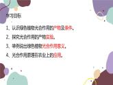 冀少版生物八年级上册 3.3.1 光合作用的产物课件