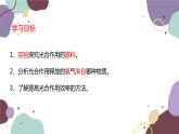 冀少版生物八年级上册 3.3.2 光合作用的原料课件