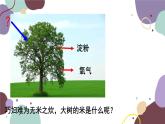 冀少版生物八年级上册 3.3.2 光合作用的原料课件