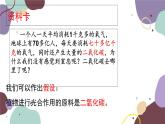 冀少版生物八年级上册 3.3.2 光合作用的原料课件