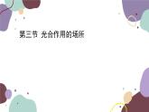 冀少版生物八年级上册 3.3.3 光合作用的场所课件