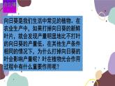 冀少版生物八年级上册 3.3.3 光合作用的场所课件