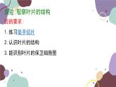 冀少版生物八年级上册 3.3.3 光合作用的场所课件
