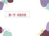 冀少版生物八年级上册 3.4.1 呼吸作用课件