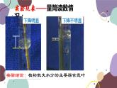 冀少版生物八年级上册 3.4.2 蒸腾作用课件
