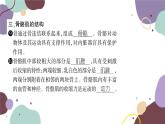 冀少版生物八年级上册 4.1.1 运动的基础课件