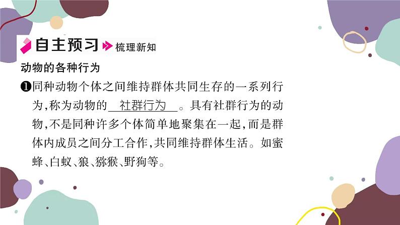 冀少版生物八年级上册 4.2.2 动物行为的类型课件第2页