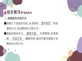 冀少版生物八年级上册 4.2.3 先天性行为和学习行为课件
