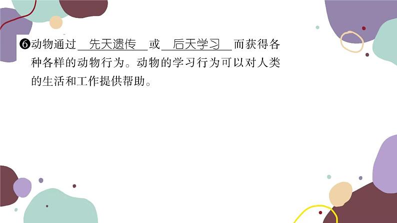 冀少版生物八年级上册 4.2.3 先天性行为和学习行为课件04