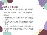 冀少版生物八年级上册 4.2.3 先天性行为和学习行为课件
