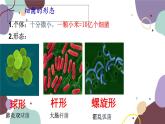 冀少版生物八年级上册 5.1.1 细菌课件