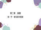 冀少版生物八年级上册 5.2.1 酵母菌和霉菌课件