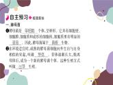 冀少版生物八年级上册 5.2.1 酵母菌和霉菌课件