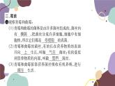 冀少版生物八年级上册 5.2.1 酵母菌和霉菌课件