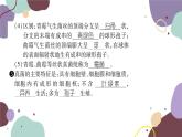 冀少版生物八年级上册 5.2.1 酵母菌和霉菌课件