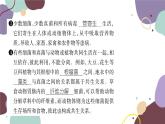 冀少版生物八年级上册 5.4 微生物在生物圈中的作用课件