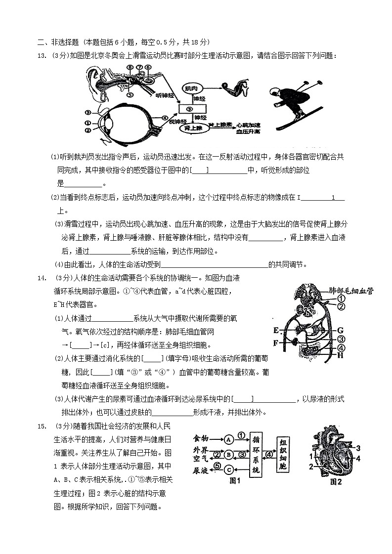 辽宁省鞍山市岫岩满族自治县2023-2024学年七年级下学期6月份月考生物试题第3页