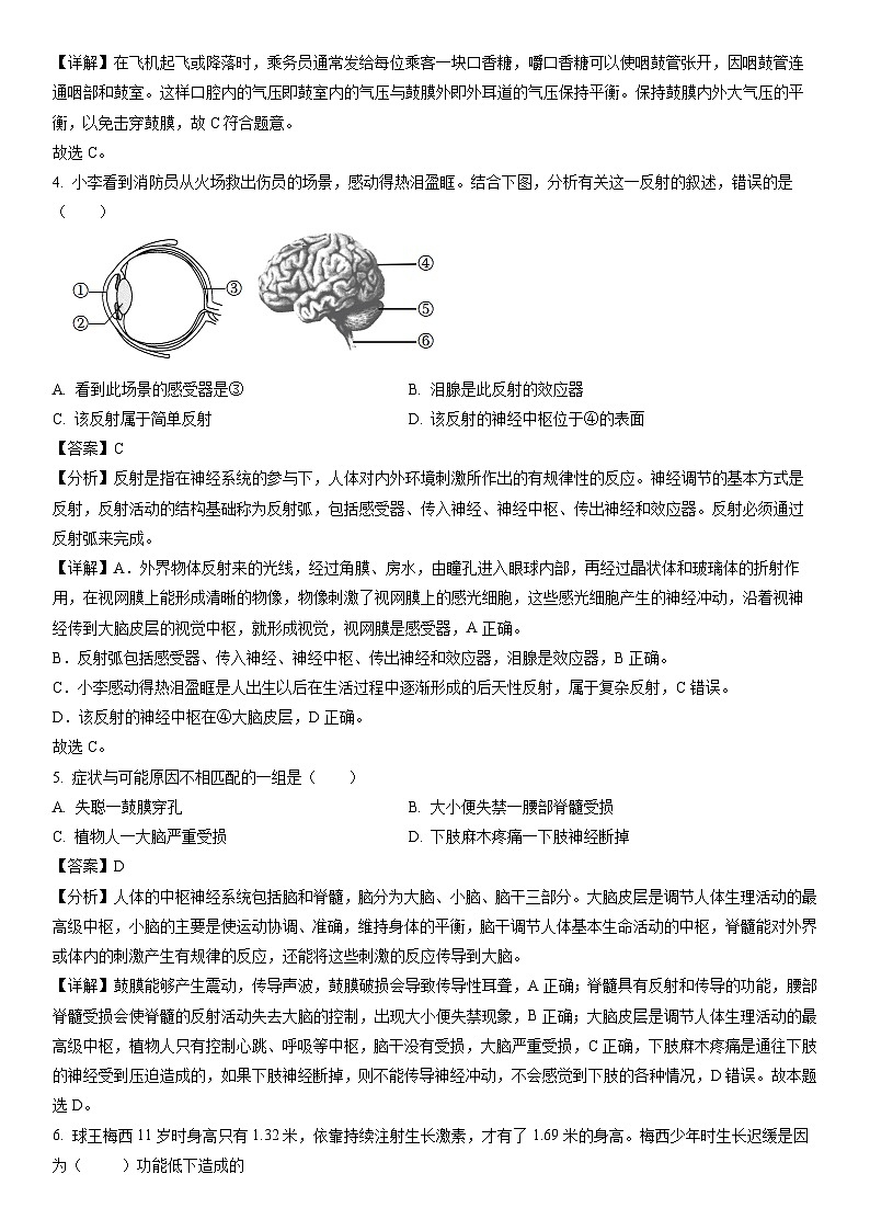 [生物]山东省烟台招远市（五四制）2023-2024学年七年级下学期期中试题（解析版）第2页