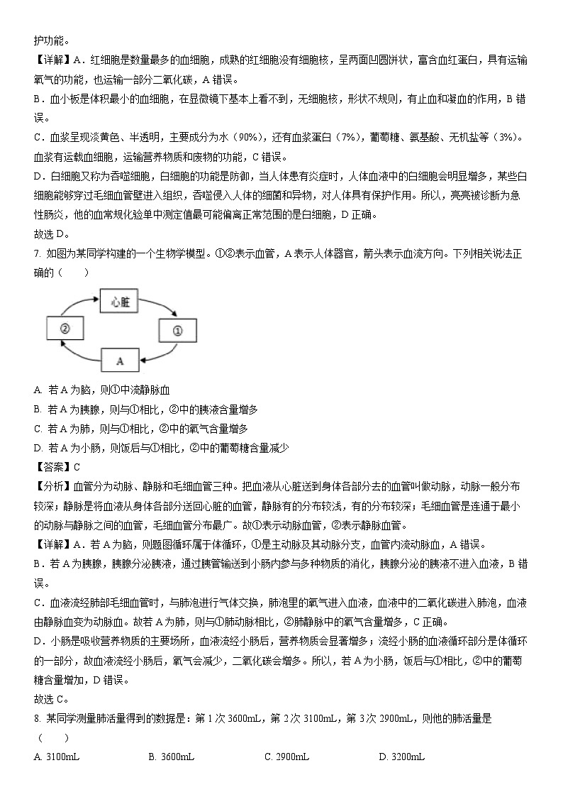 [生物]辽宁省沈阳市于洪区2023-2024学年七年级下学期期中试题（解析版）第3页