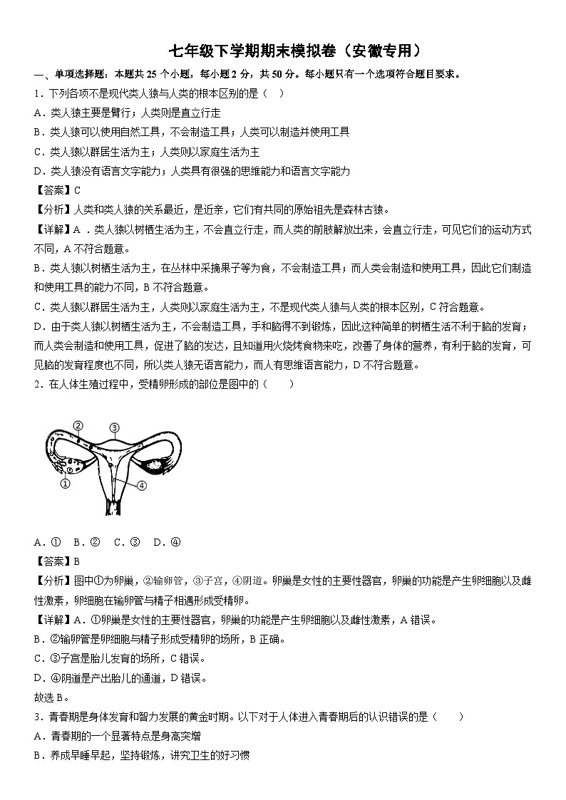 [生物]七年级下学期期末模拟卷（安徽专用）第1页