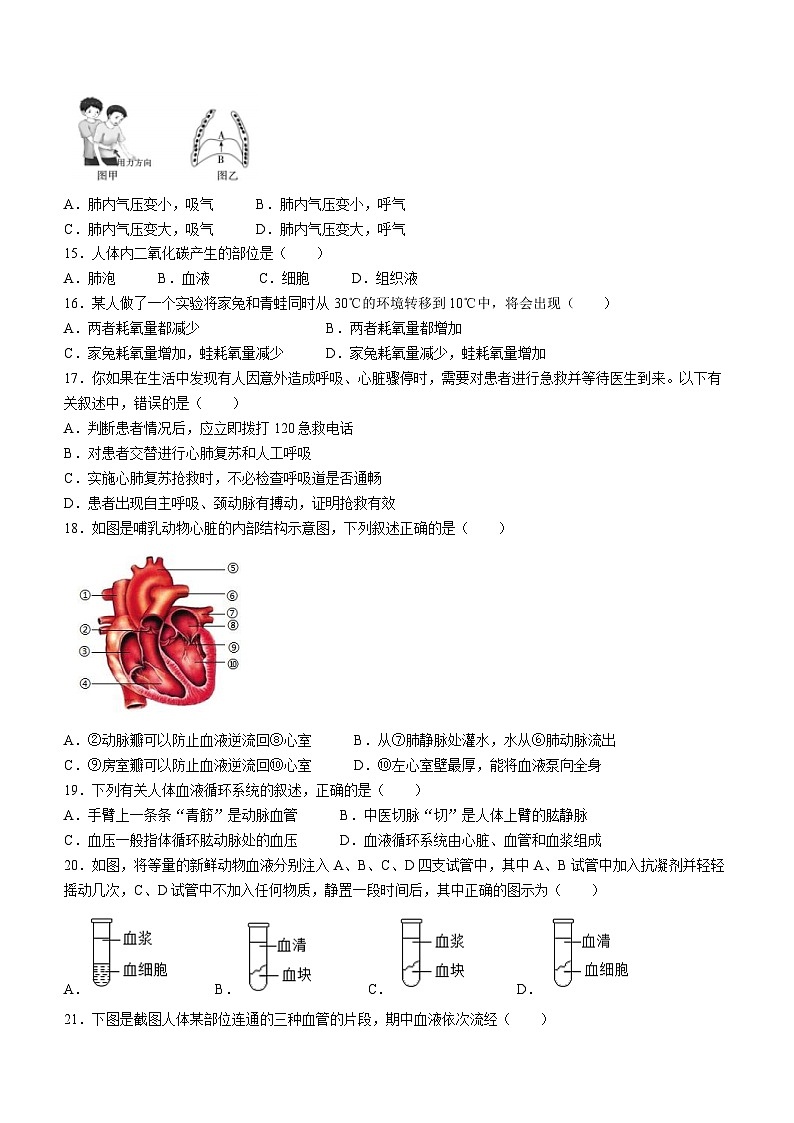 四川省内江市第六中学2023-2024学年七年级下期期中生物试题第3页