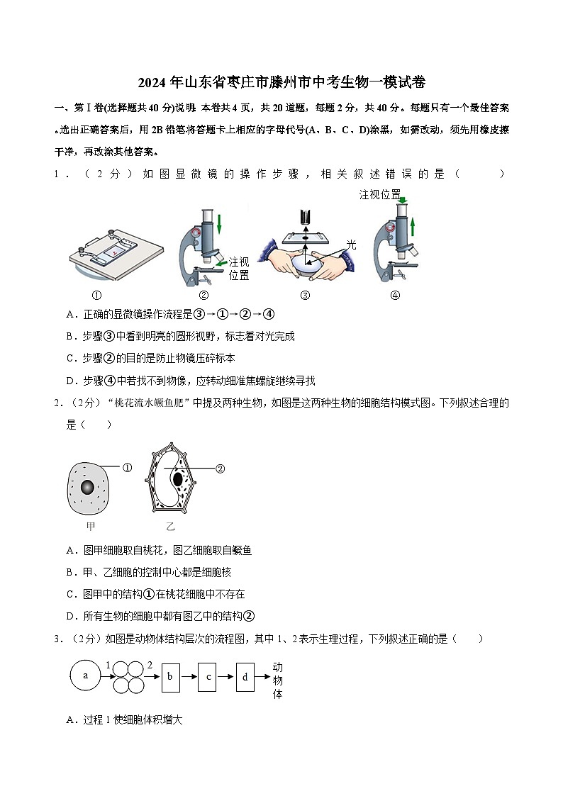 2024年山东省枣庄市滕州市中考生物一模试卷01