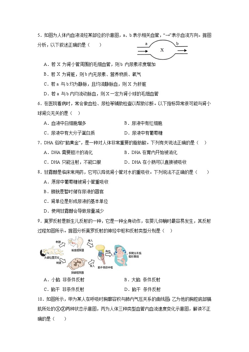 广东省梅州市兴宁市第一中学2023-2024学年七年级下学期生物第二次月考试题02