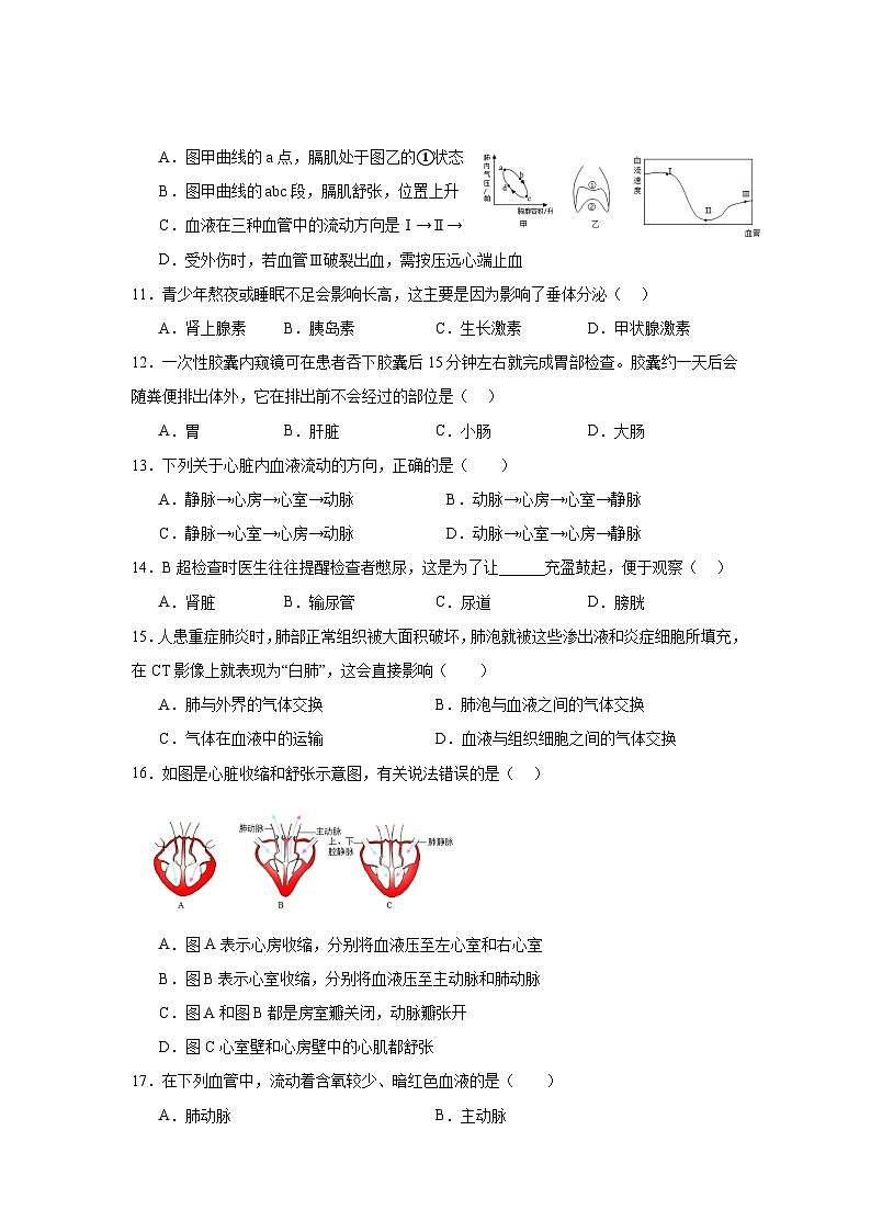 广东省梅州市兴宁市第一中学2023-2024学年七年级下学期生物第二次月考试题03