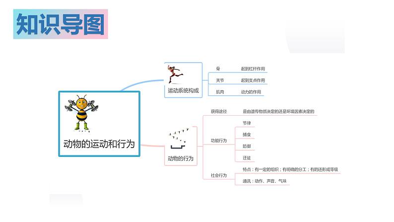 02 八年级上册5.2&5.3 动物的运动和行为+动物在生物圈中的作用（考点串讲课件）（人教版）03