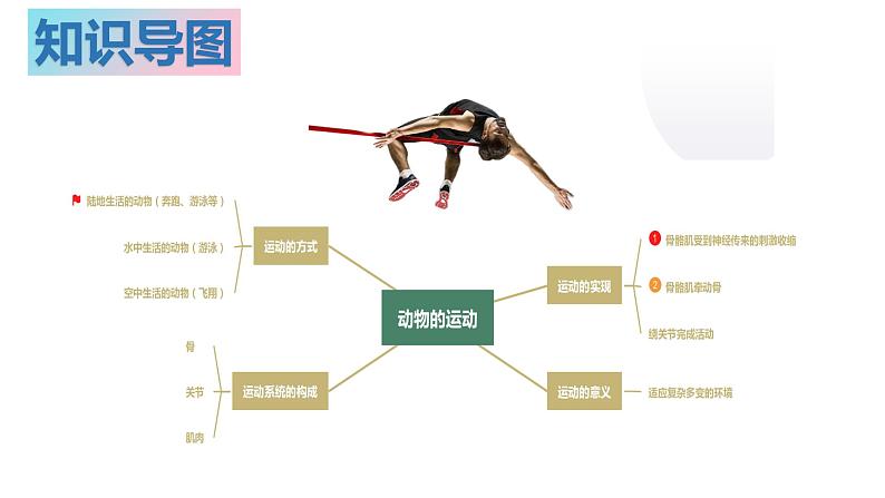 02 八年级上册5.2&5.3 动物的运动和行为+动物在生物圈中的作用（考点串讲课件）（人教版）04