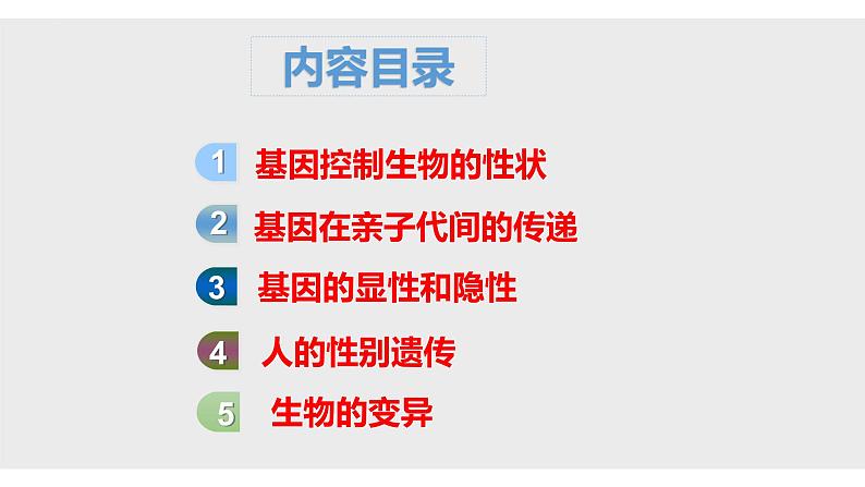 06 八年级下册7.2 生物的遗传和变异（考点串讲课件）-2023-2024学年八年级生物上学期期末考点大串讲（人教版）03