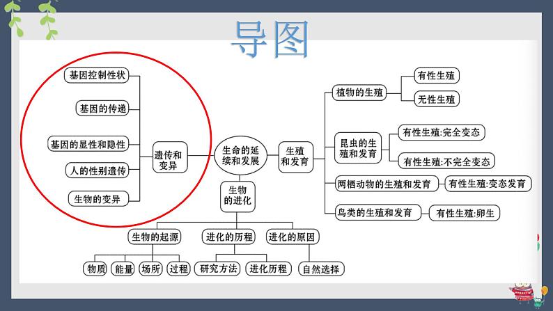 06 八年级下册7.2 生物的遗传和变异（考点串讲课件）-2023-2024学年八年级生物上学期期末考点大串讲（人教版）04