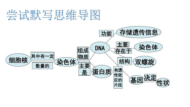 06 八年级下册7.2 生物的遗传和变异（考点串讲课件）-2023-2024学年八年级生物上学期期末考点大串讲（人教版）06