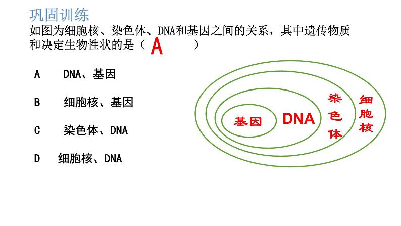 06 八年级下册7.2 生物的遗传和变异（考点串讲课件）-2023-2024学年八年级生物上学期期末考点大串讲（人教版）08