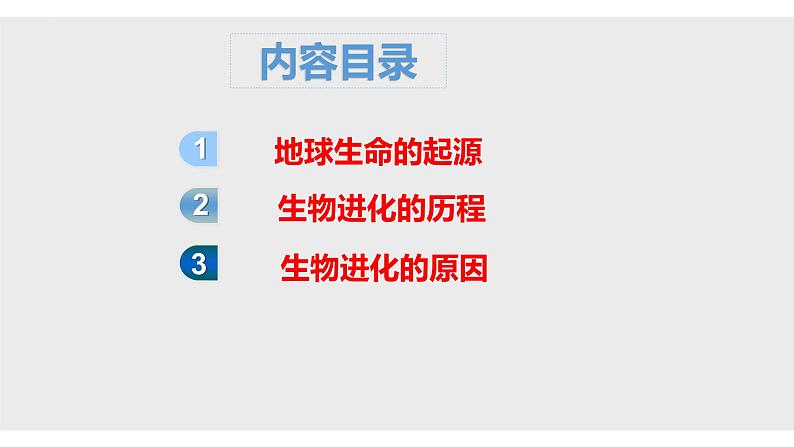 07 八年级下册7.3 生命起源和生物进化（考点串讲课件）-2023-2024学年八年级生物上学期期末考点大串讲（人教版）03