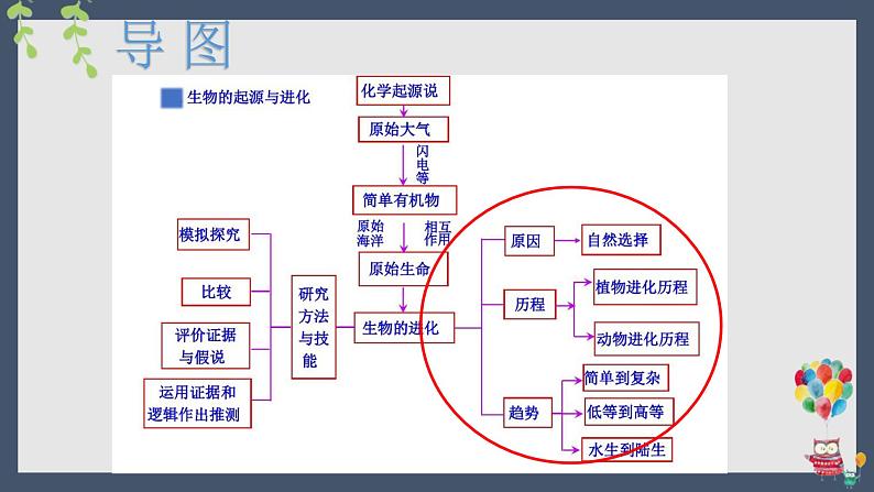 07 八年级下册7.3 生命起源和生物进化（考点串讲课件）-2023-2024学年八年级生物上学期期末考点大串讲（人教版）04