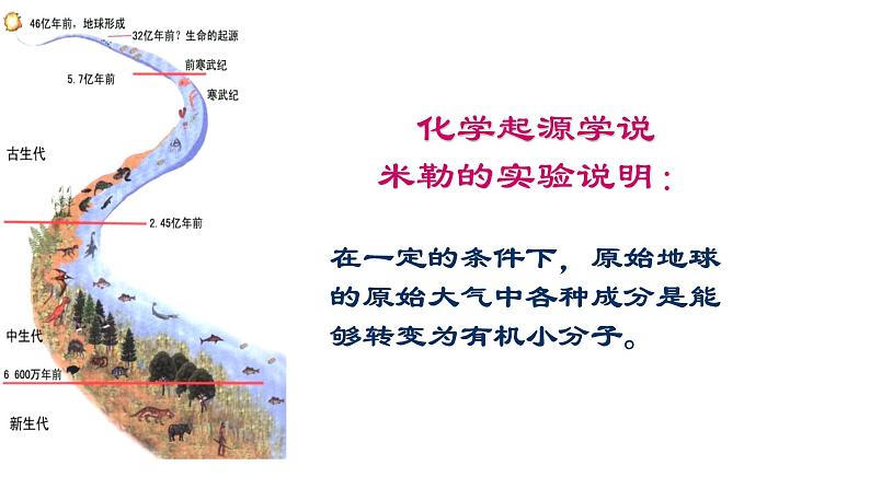 07 八年级下册7.3 生命起源和生物进化（考点串讲课件）-2023-2024学年八年级生物上学期期末考点大串讲（人教版）06