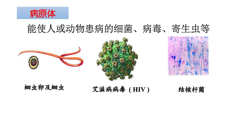 08 八年级下册8 健康地生活（考点串讲课件）-2023-2024学年八年级生物上学期期末考点大串讲（人教版）06