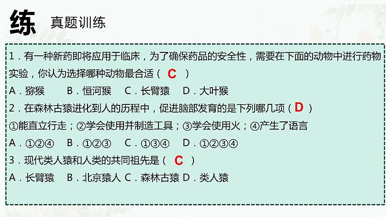 第一章 人的由来（复习课件）-2023-2024学年七年级生物下学期期末考点大串讲（人教版）04